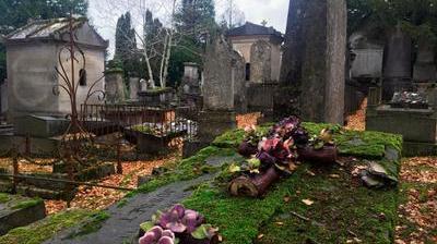 Espéranto, cercueil debout, livre Ces tombes insolites du cimetière de  Forges-les-Eaux - Paris-Normandie